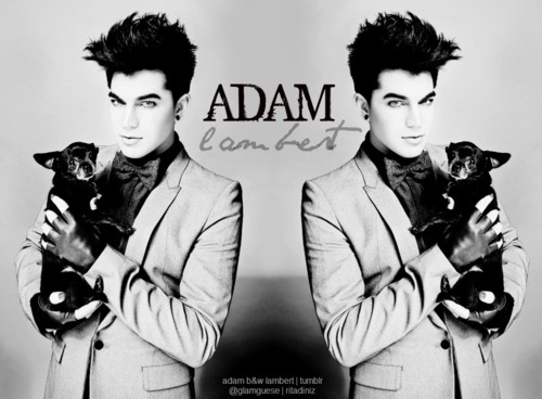 Adam Lambert in Fan Creations