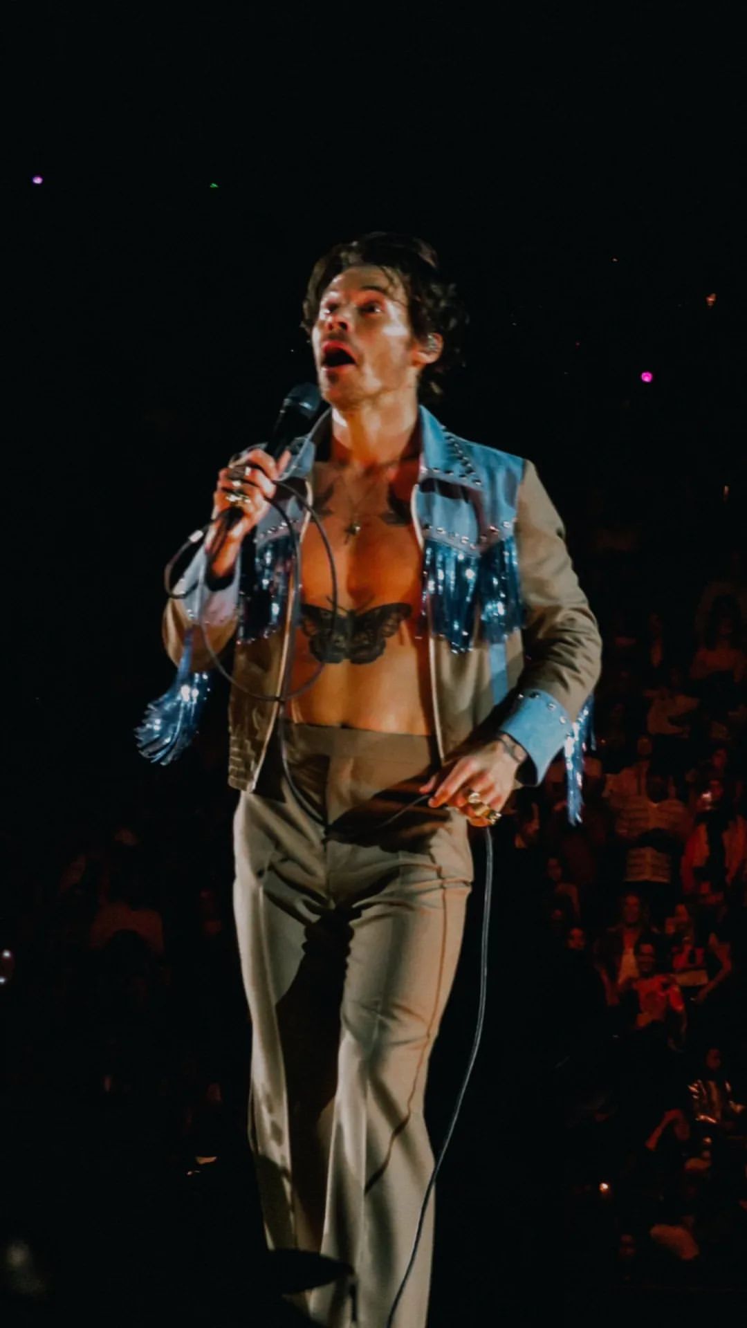 General photo of Harry Styles