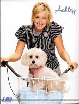 General photo of Ashley Tisdale