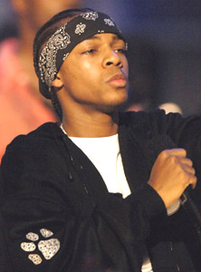 General photo of Bow Wow