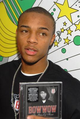 General photo of Bow Wow