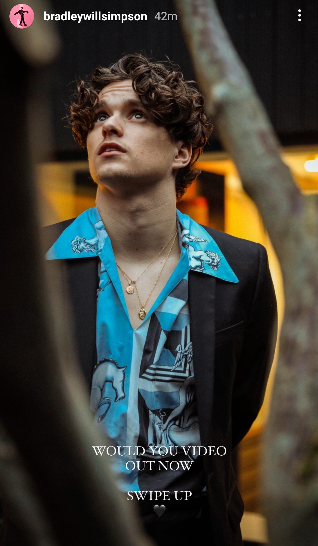 General photo of Bradley Simpson