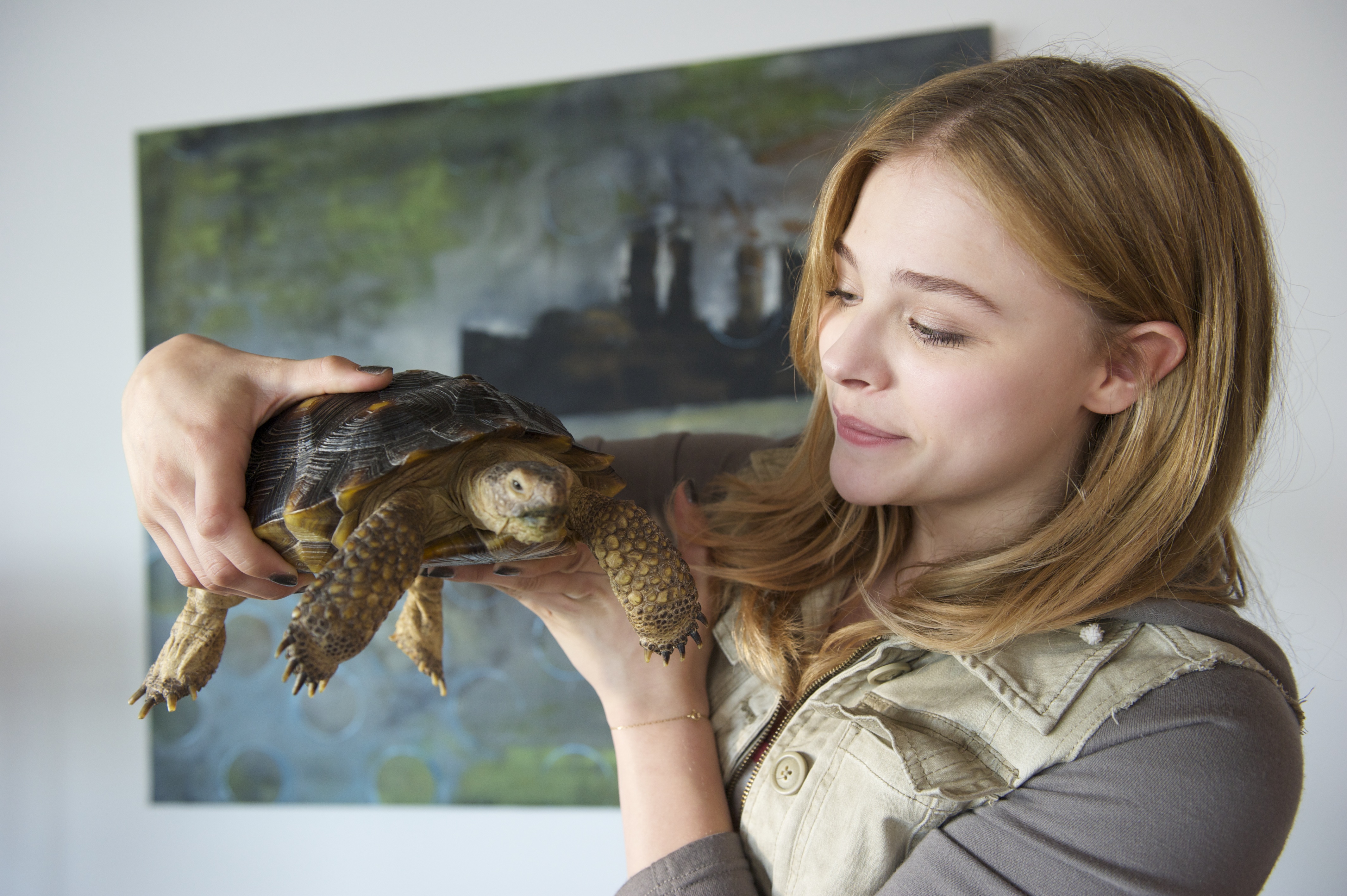 Chloë Grace Moretz in Laggies