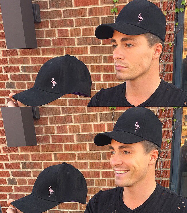 General photo of Colton Haynes