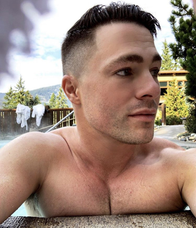 General photo of Colton Haynes