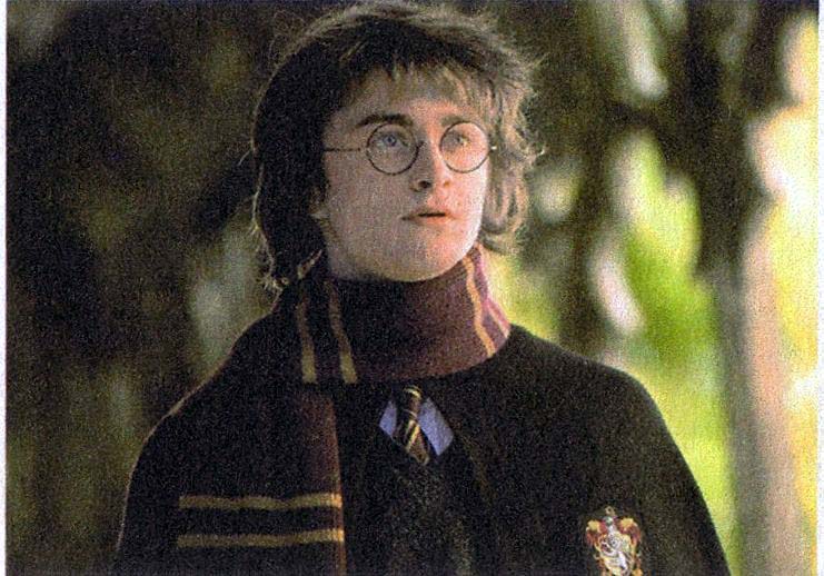 Гарри поттер в шарфе гриффиндора