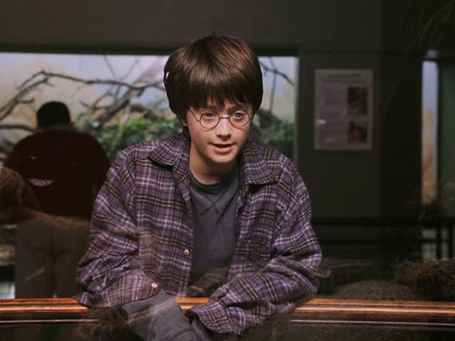 Daniel Radcliffe in Harry Potter and the Sorcerer's Stone