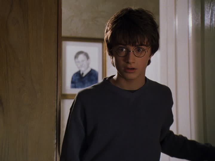 Daniel Radcliffe in Harry Potter and the Chamber of Secrets