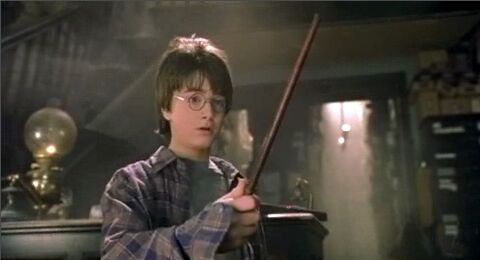 Daniel Radcliffe in Harry Potter and the Sorcerer's Stone