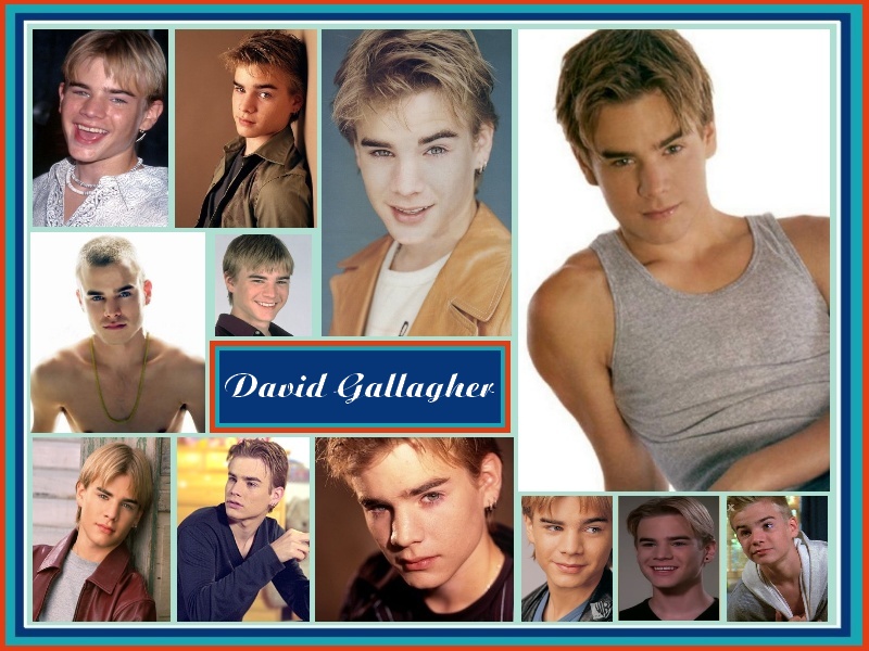 David Gallagher in Fan Creations