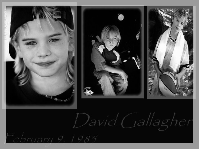 David Gallagher in Fan Creations