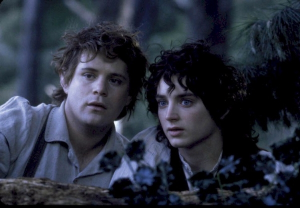 Elijah Wood in The Lord of the Rings: The Fellowship of the Ring