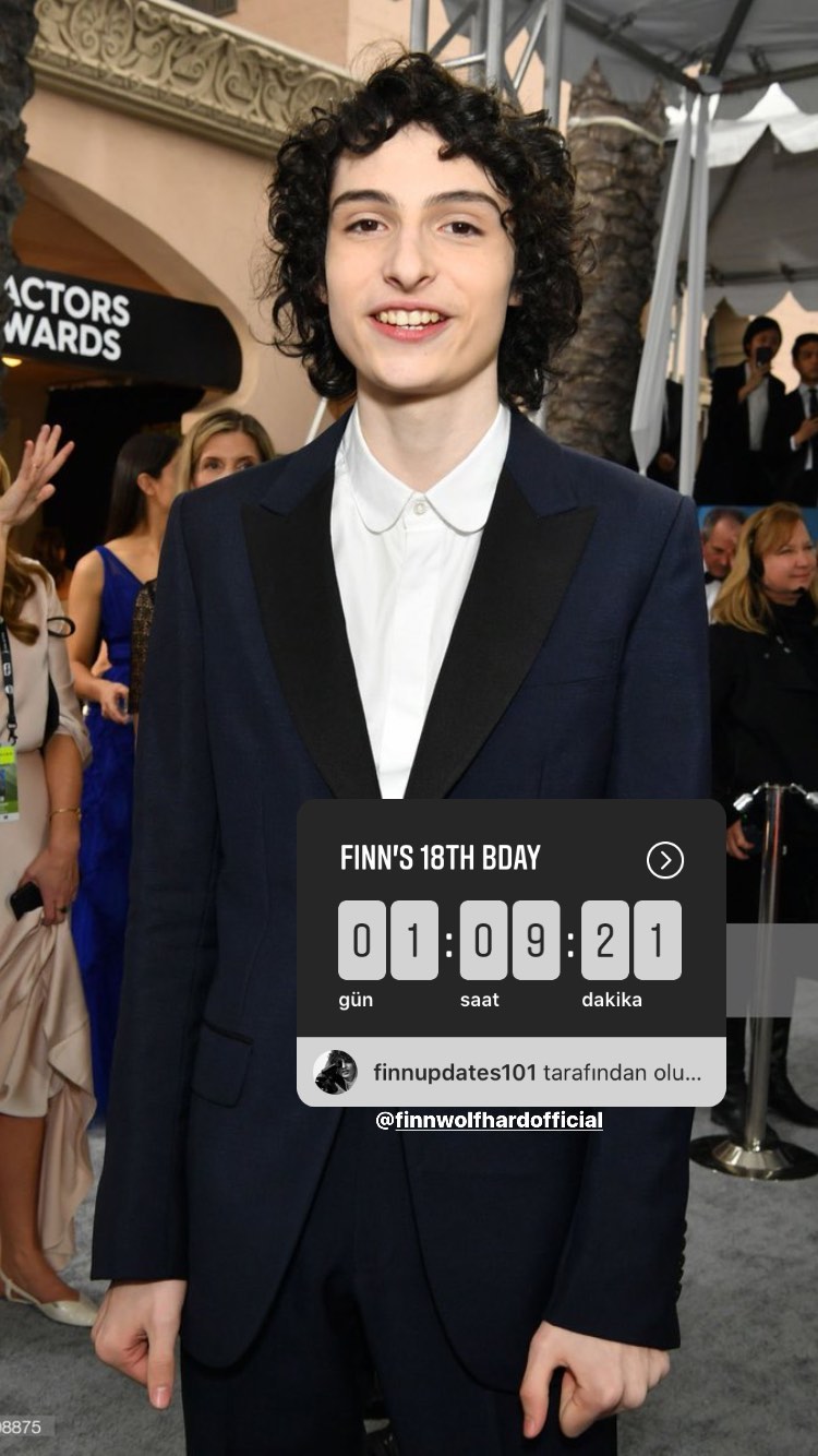 General photo of Finn Wolfhard