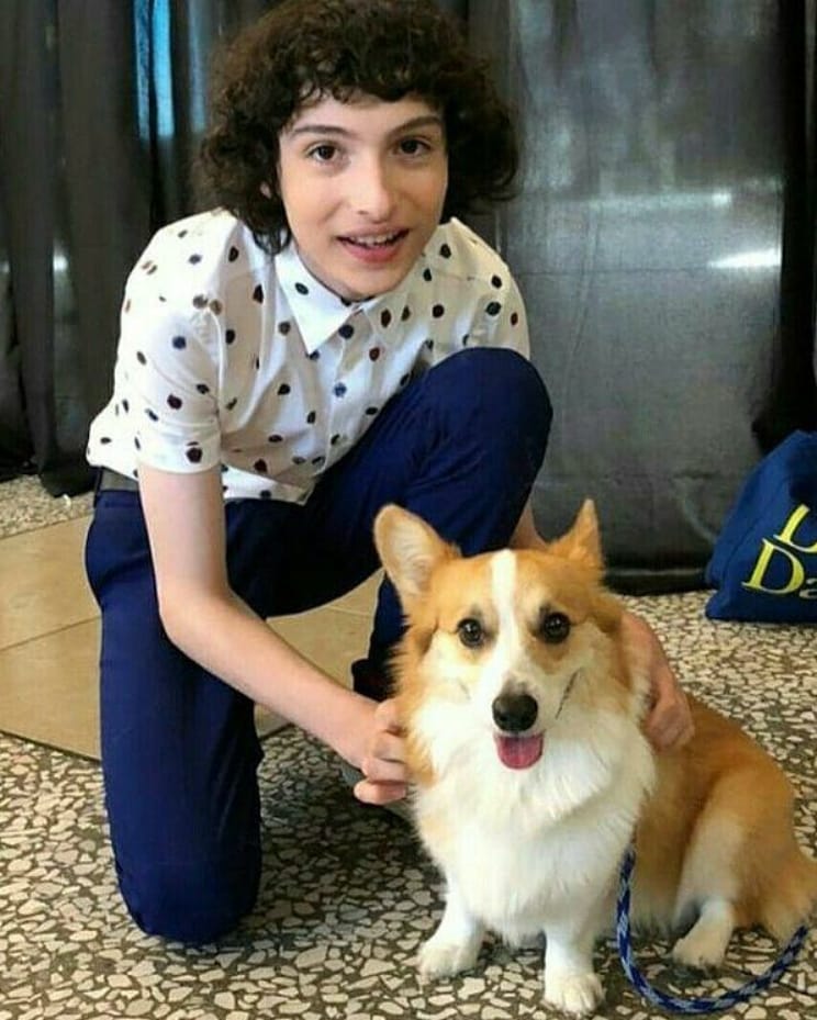 General photo of Finn Wolfhard