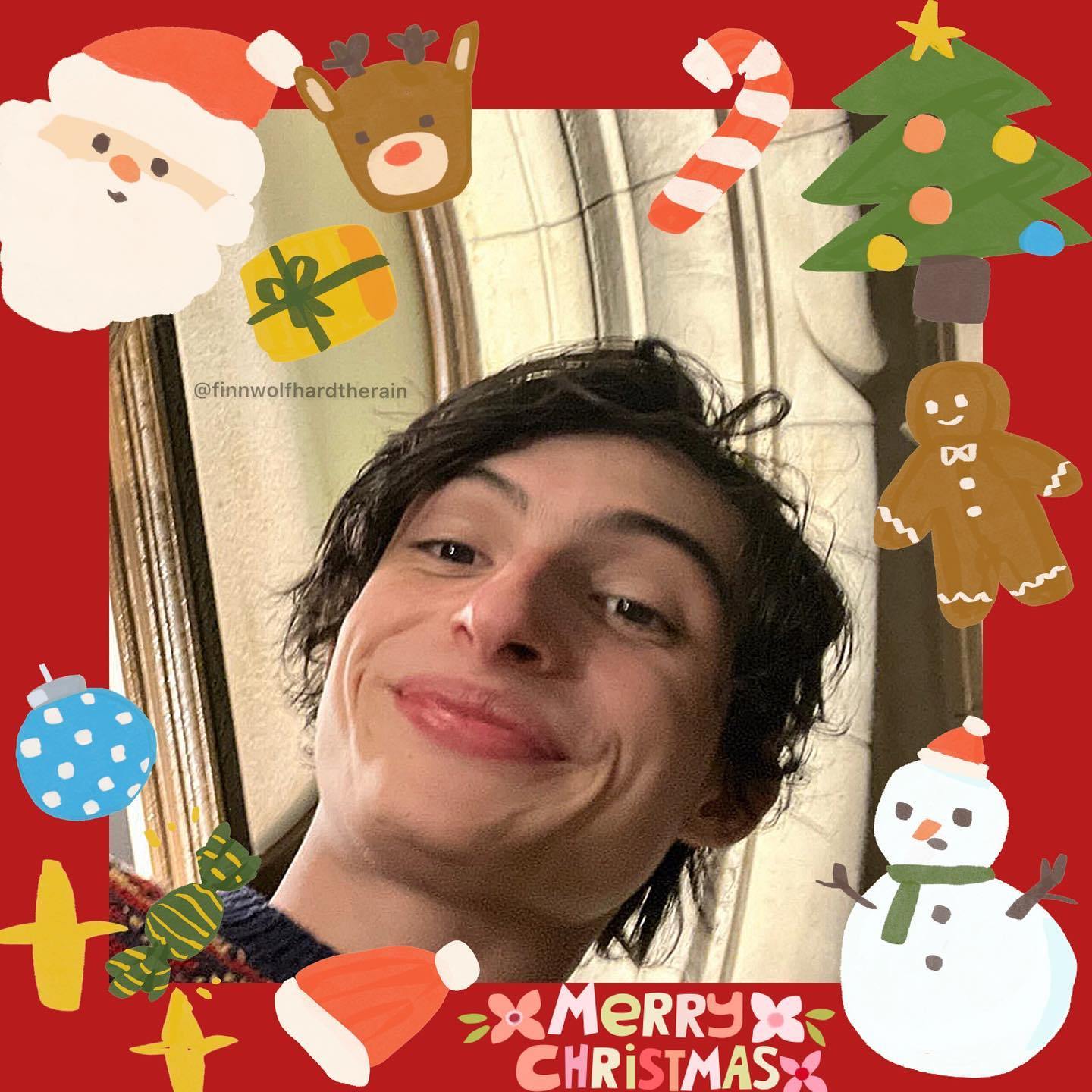 General photo of Finn Wolfhard