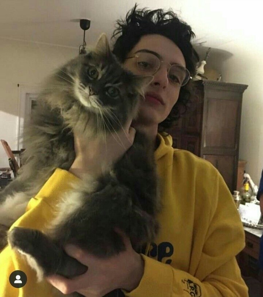 General photo of Finn Wolfhard