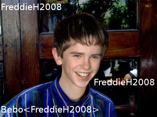 General photo of Freddie Highmore