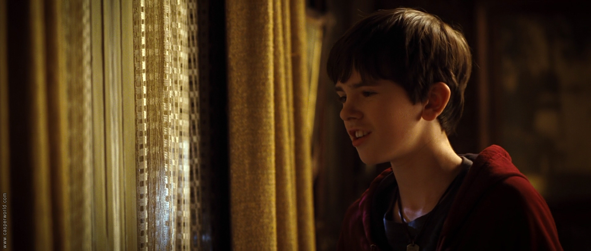 Freddie Highmore in The Spiderwick Chronicles