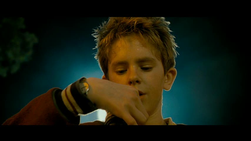 Freddie Highmore in Arthur and the Revenge of Maltazard