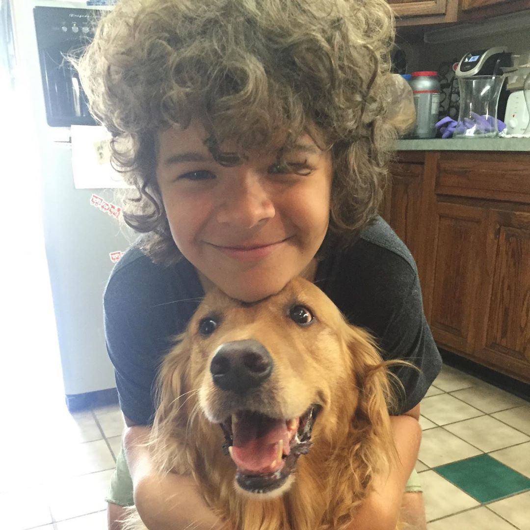 General photo of Gaten Matarazzo