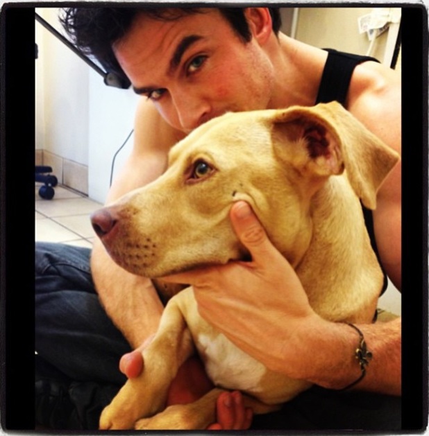 General photo of Ian Somerhalder