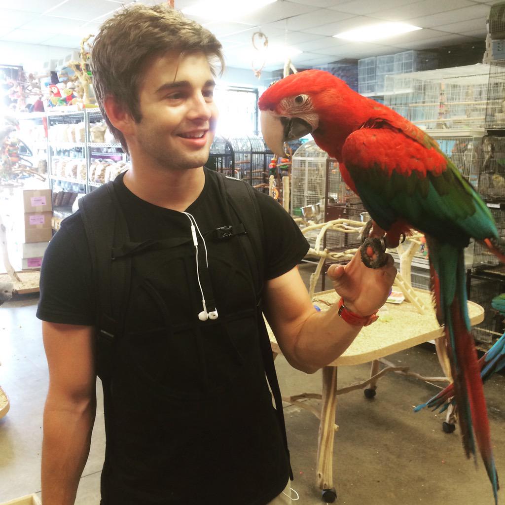 General photo of Jack Griffo