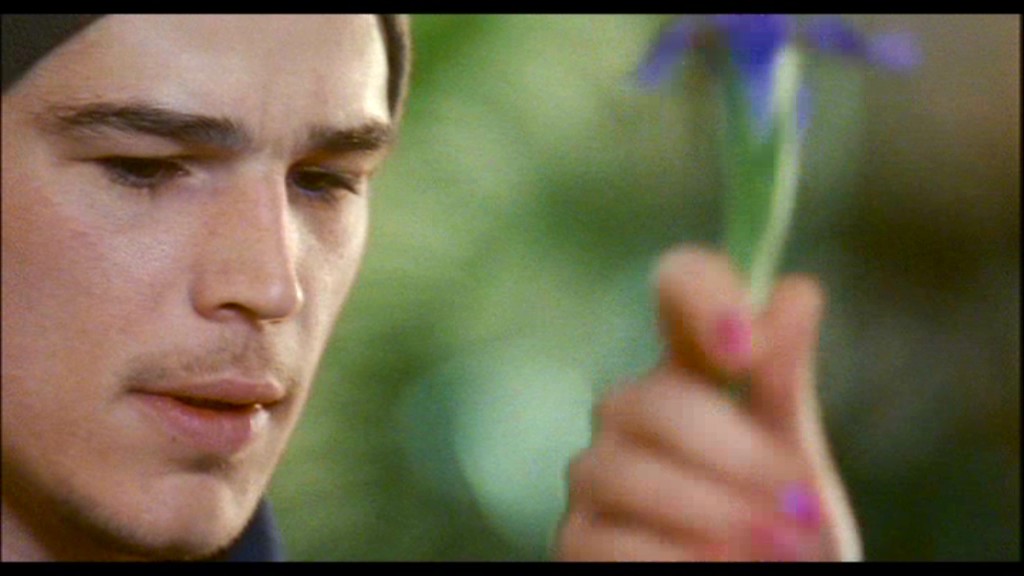 Josh Hartnett in Mozart and the Whale