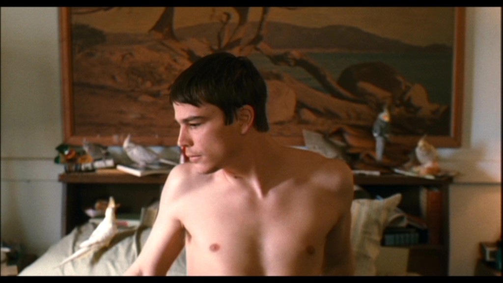 Josh Hartnett in Mozart and the Whale