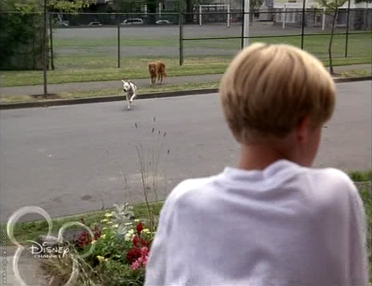 Keegan MacIntosh in Homeward Bound II: Lost in San Francisco