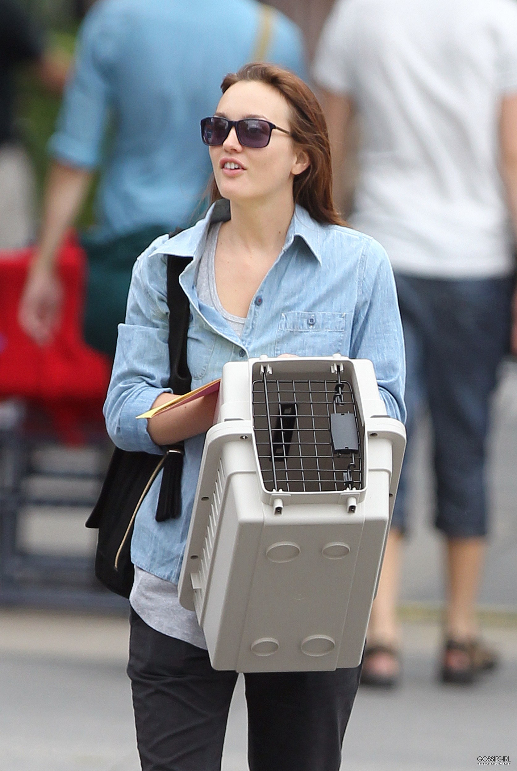 General photo of Leighton Meester