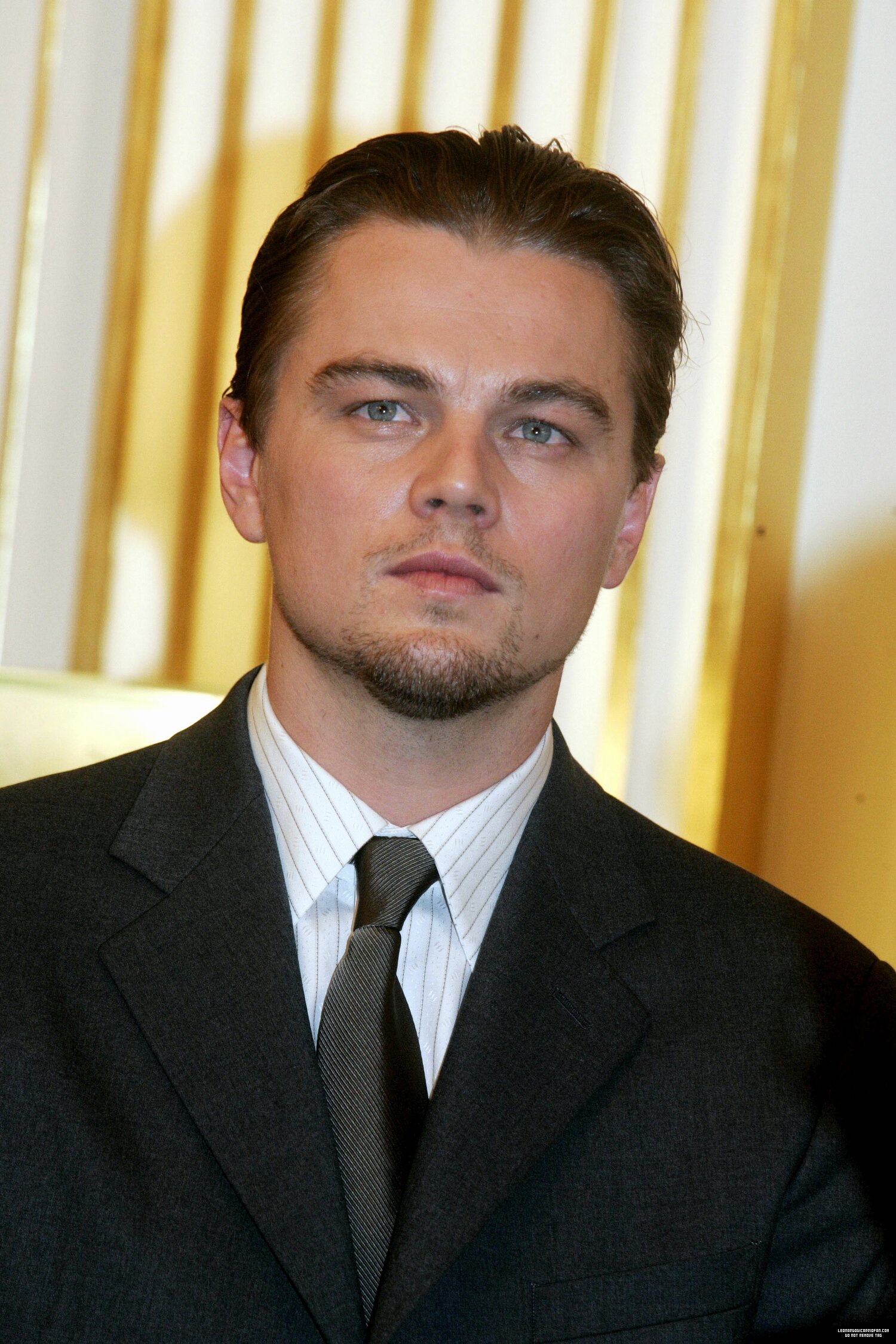 General photo of Leonardo DiCaprio