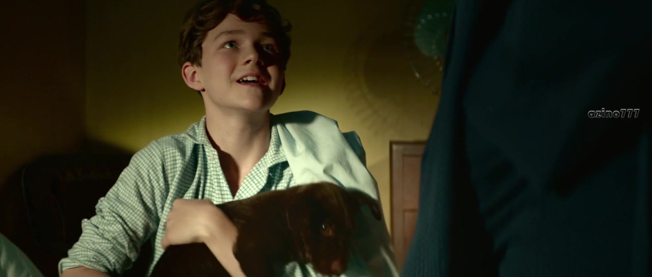 Levi Miller in Red Dog: True Blue