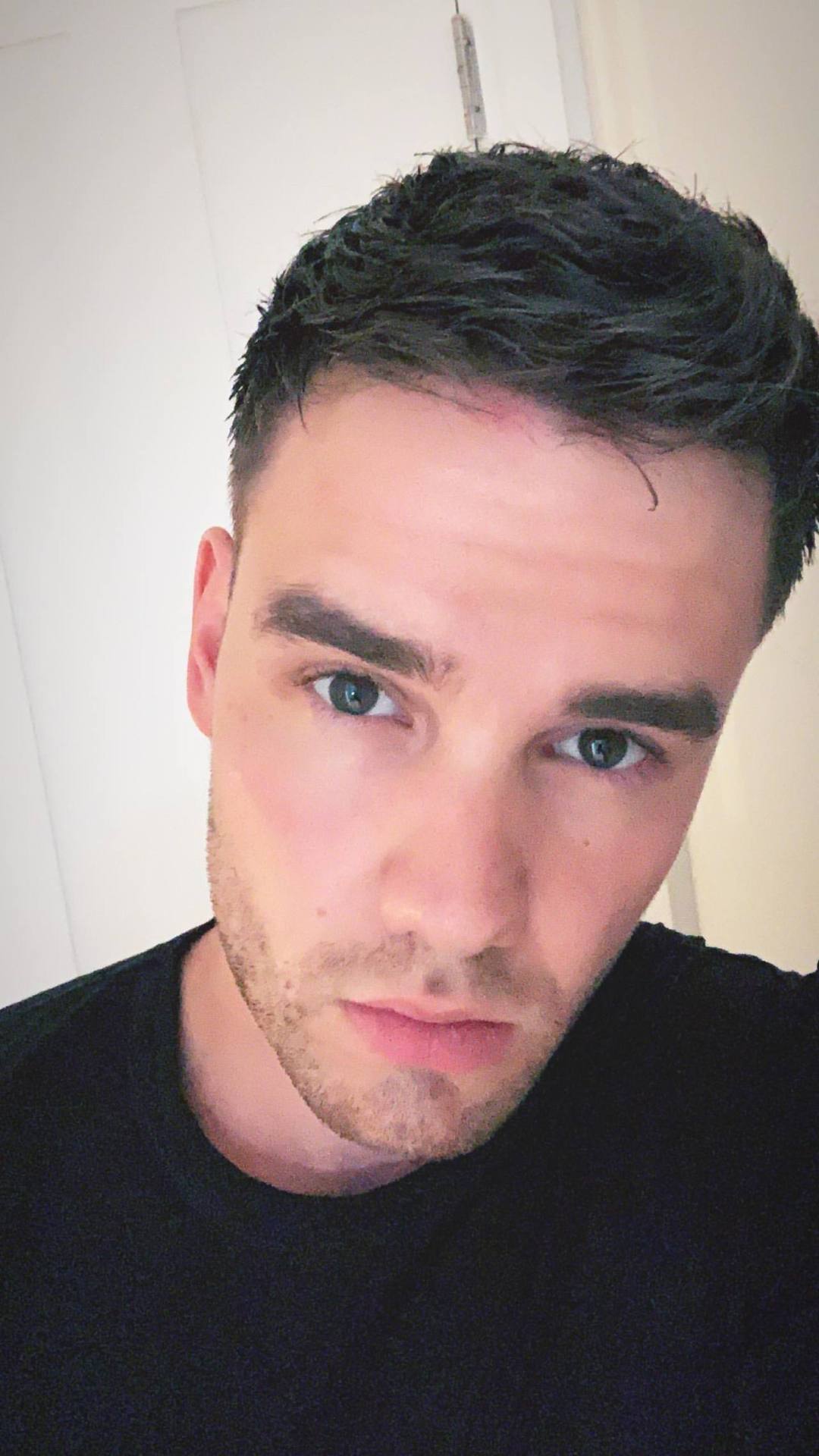 General photo of Liam Payne