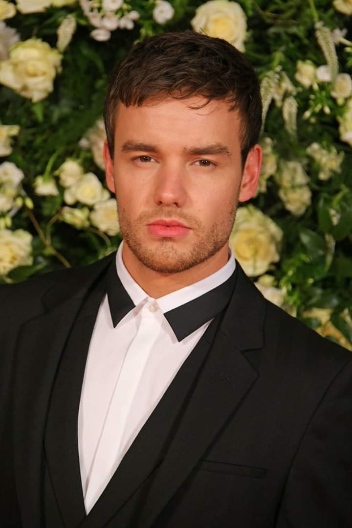 General photo of Liam Payne