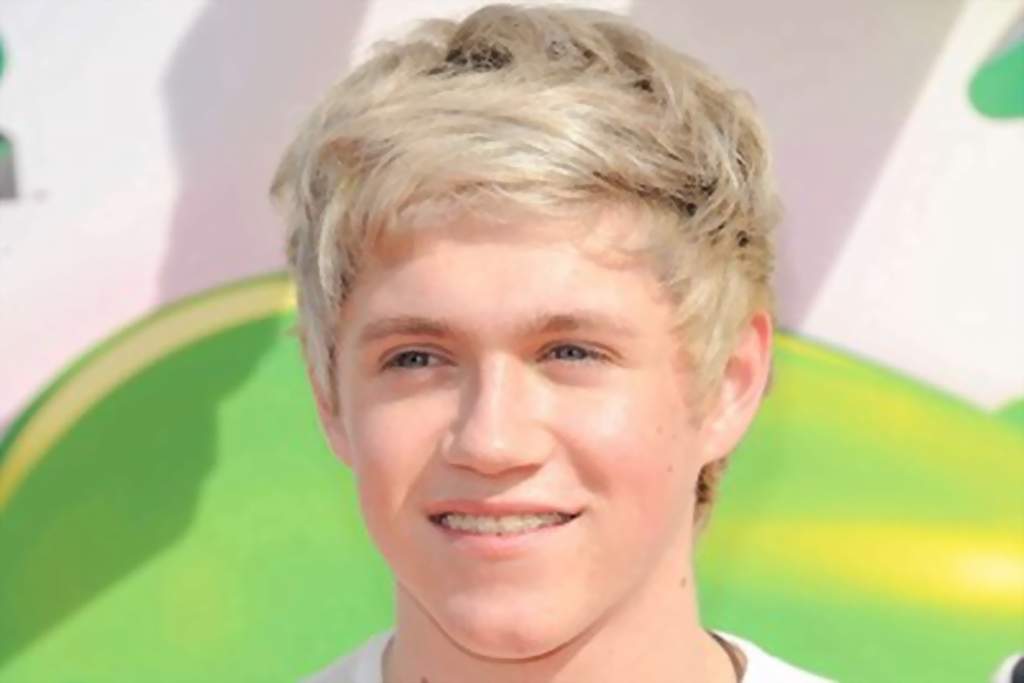 General photo of Niall Horan