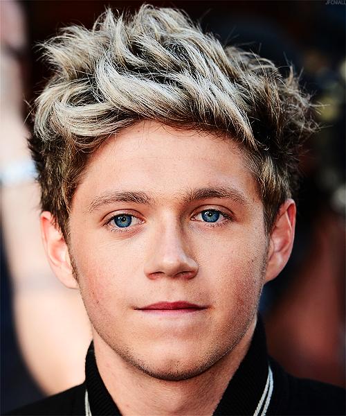 General photo of Niall Horan