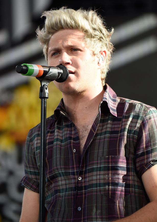 General photo of Niall Horan