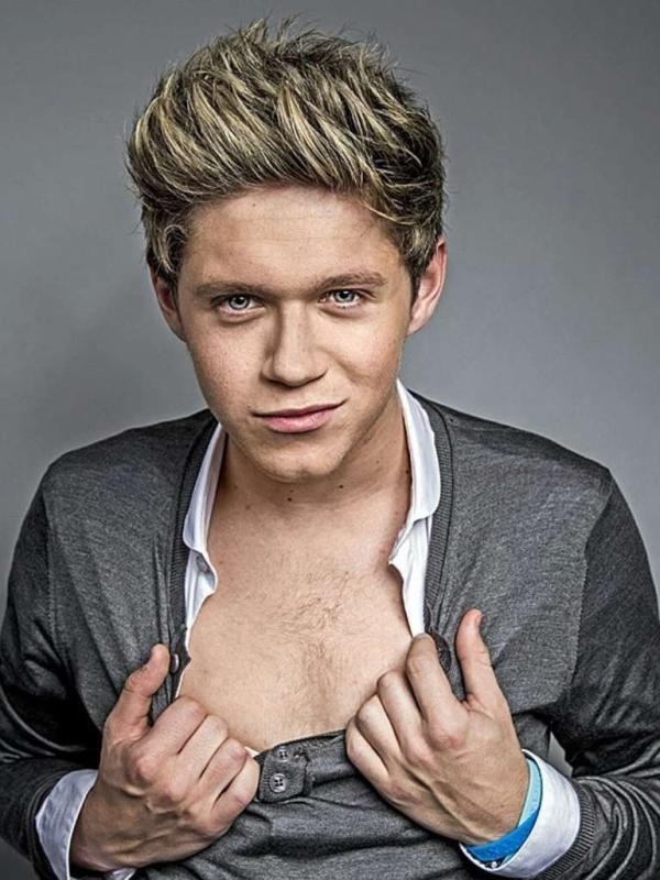 General photo of Niall Horan