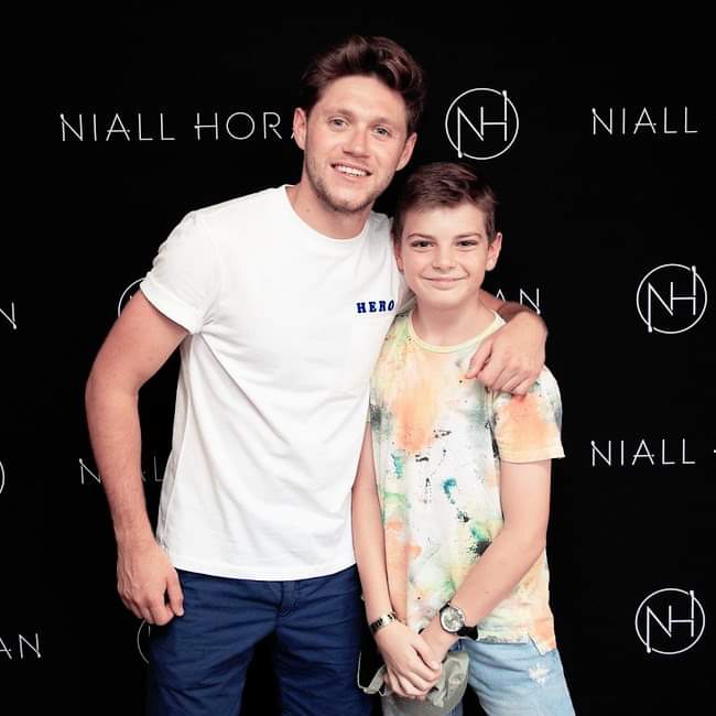 General photo of Niall Horan