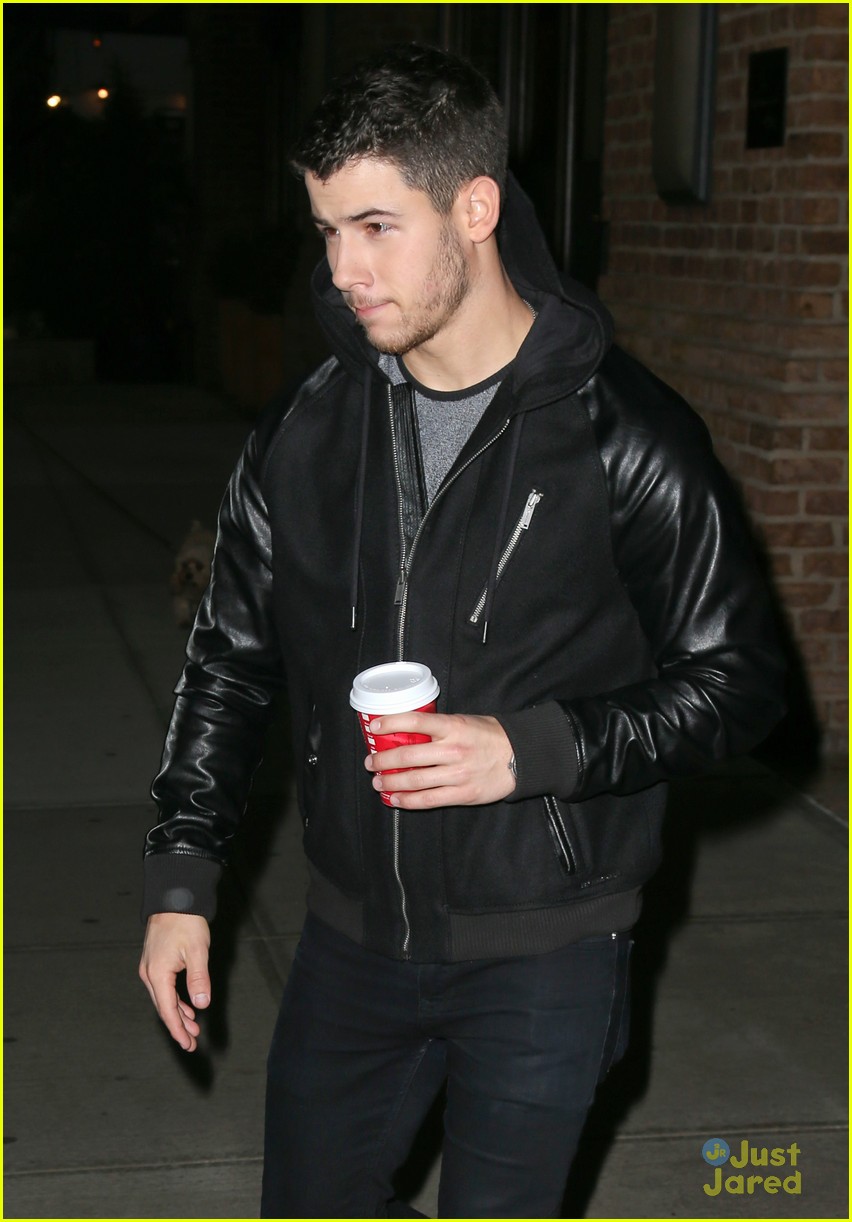 General photo of Nick Jonas