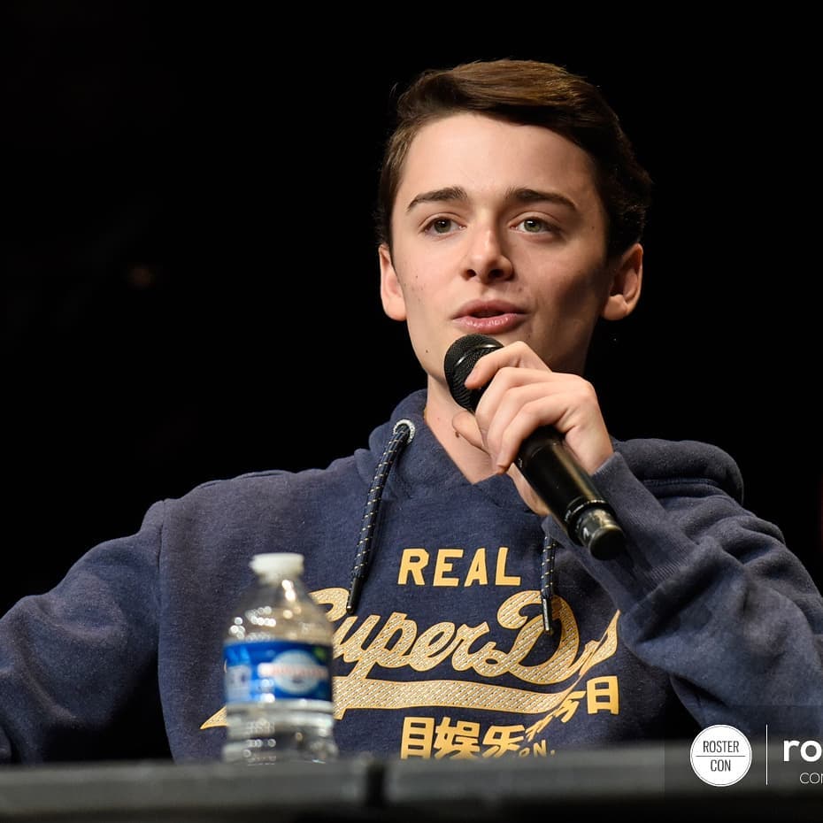 General photo of Noah Schnapp