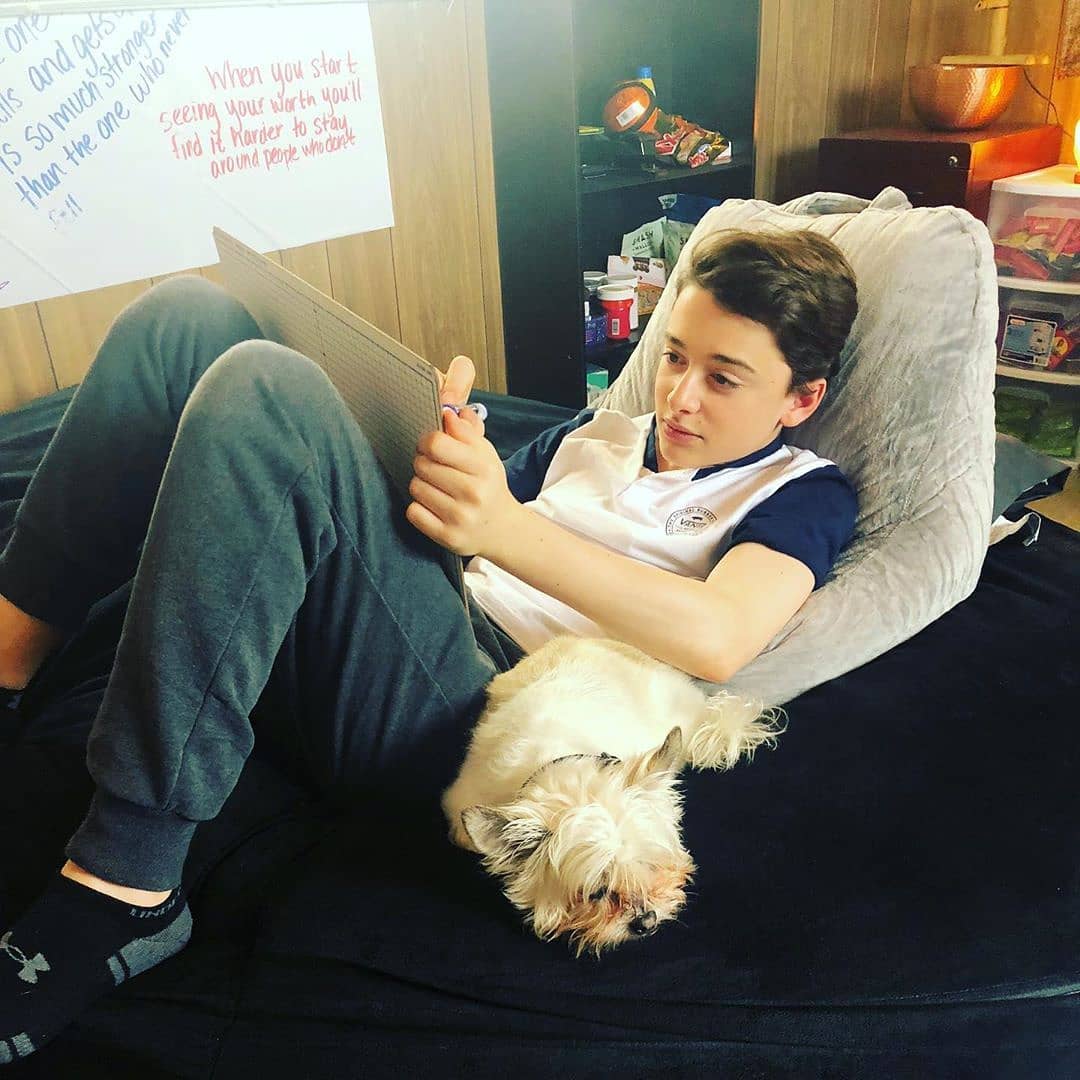 Noah schnapp tapestry