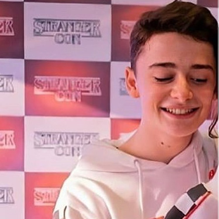 General photo of Noah Schnapp