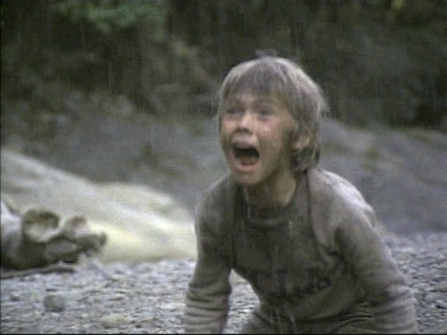 Rick Schroder in The Earthling