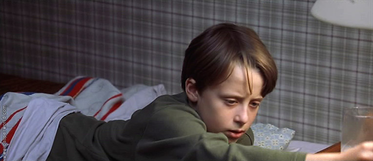 Rory Culkin in It Runs in the Family