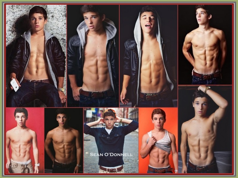 Sean O'Donnell in Fan Creations