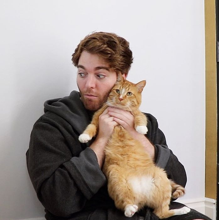 General photo of Shane Dawson