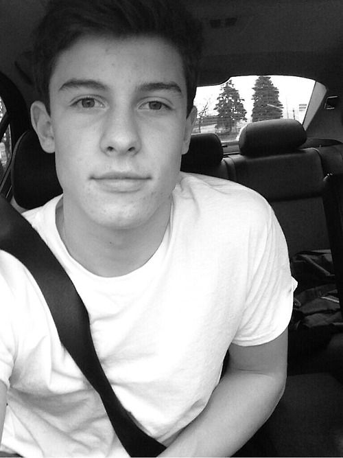 General photo of Shawn Mendes