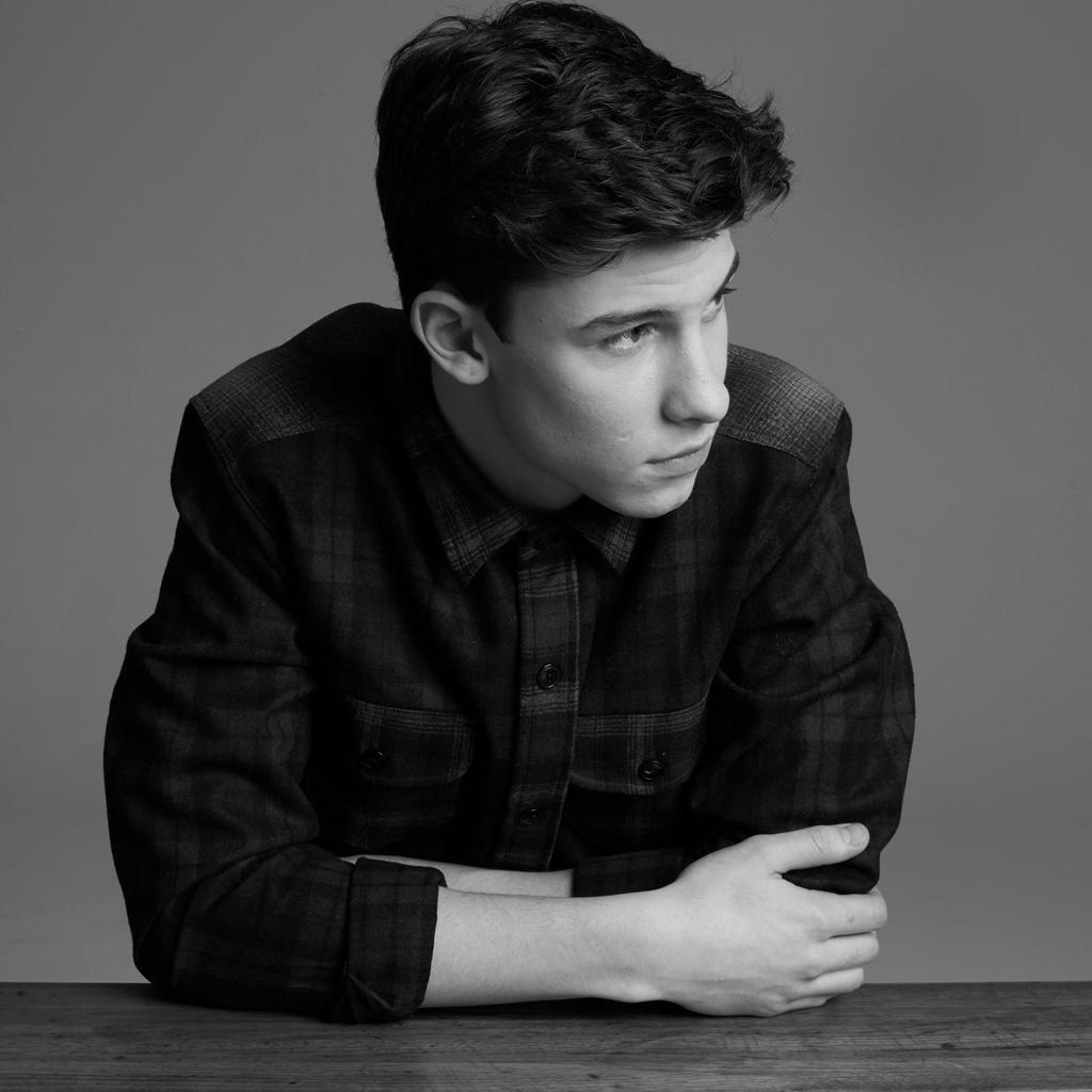 General photo of Shawn Mendes