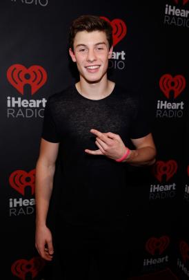 General photo of Shawn Mendes